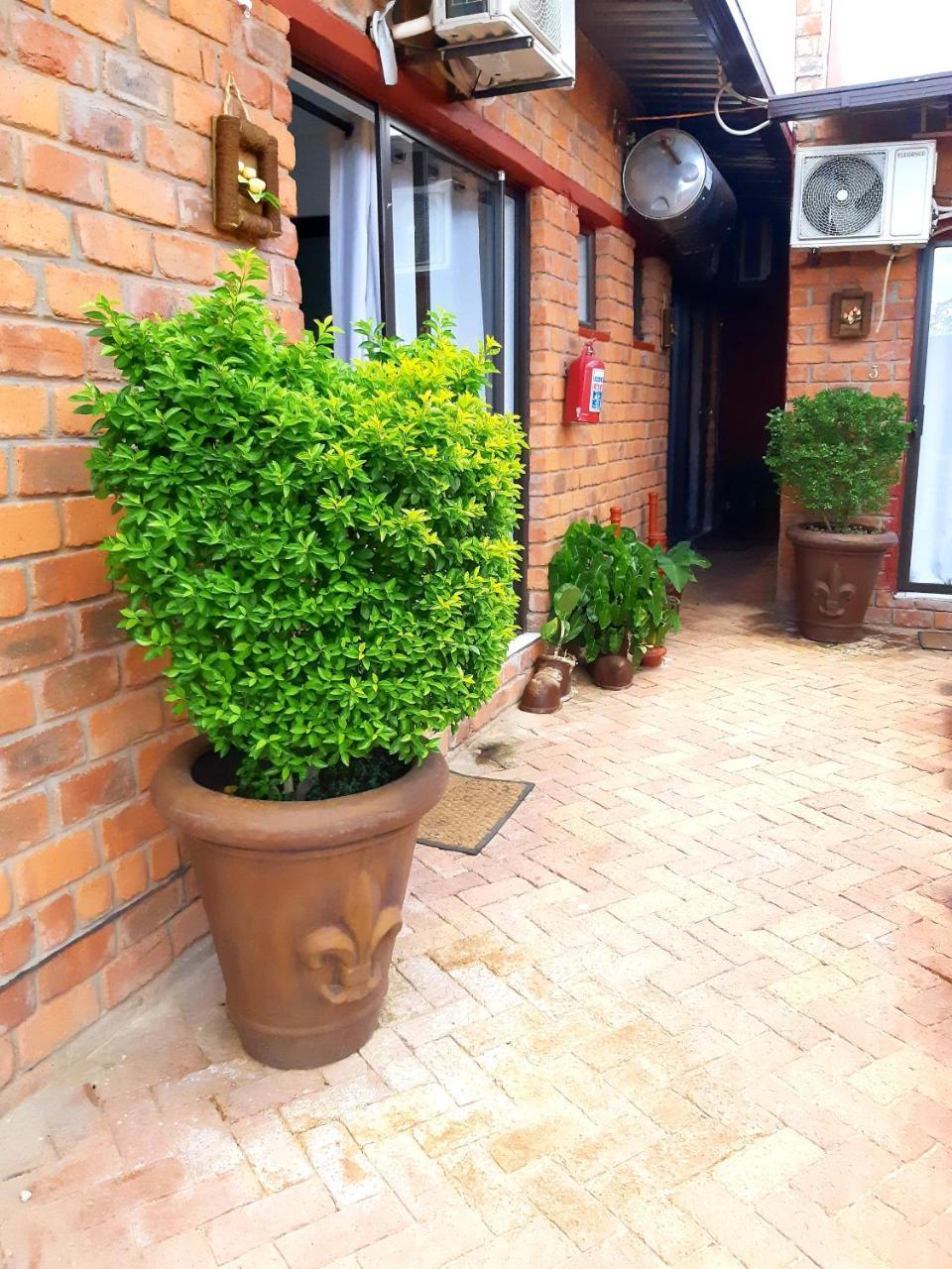 Niilo'S Guesthouse Rundu Ngoại thất bức ảnh